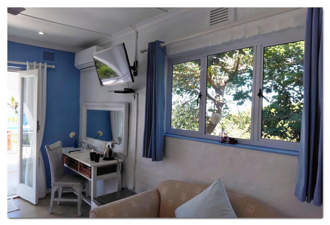 Whale Shark TV & Sofa Whale Shark TV & Sofa