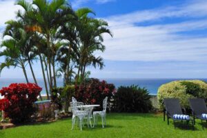 The Lazy Shark - Garden View The Lazy Shark - Garden View