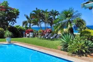The Lazy Shark - Pool View The Lazy Shark - Pool View
